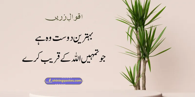 Dosti Aqwal e Zareen