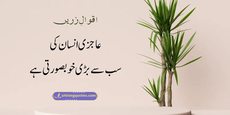 Aajzi Aqwal e Zareen