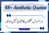 Aesthetic Quotes in Urdu – Beautiful & Heart-Touching Urdu Lines - Post Thumbnail