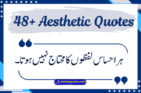 Aesthetic Quotes in Urdu – Beautiful & Heart-Touching Urdu Lines
