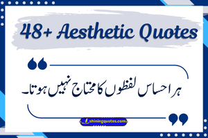 Aesthetic Quotes in Urdu – Beautiful & Heart-Touching Urdu Lines