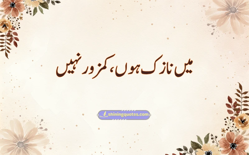 Aesthetic Urdu Captions for Instagram