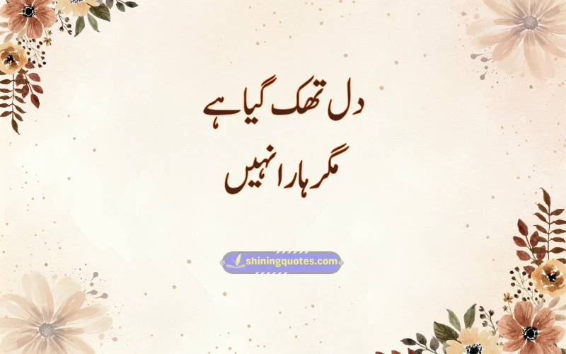 Aesthetic Urdu Quotes for Instagram Boys