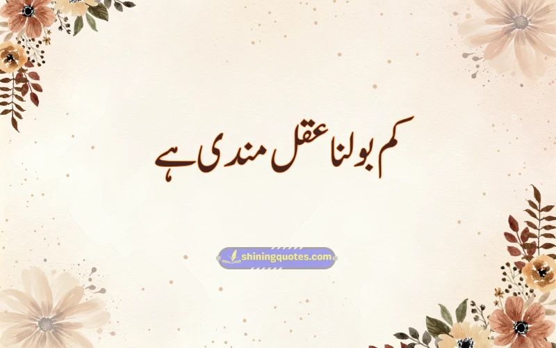 Aesthetic Urdu Quotes for Instagram