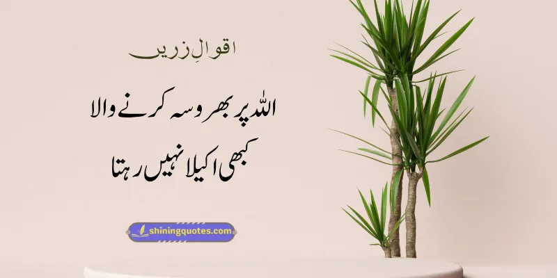 Islamic Aqwal e Zareen