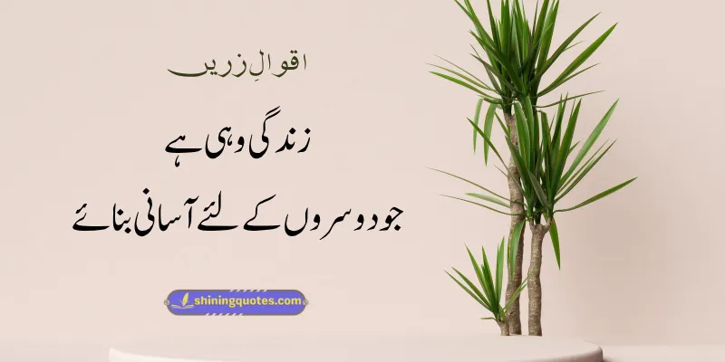 Aqwal e Zareen in Urdu Text