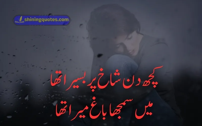 Heart-Touching Bewafa Quotes in Urdu