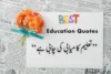 Short Education Quotes in Urdu with Easy Meaning - Post Thumbnail