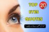 Top 20 Eyes Quotes in Urdu to Express Deep Emotions - Post Thumbnail