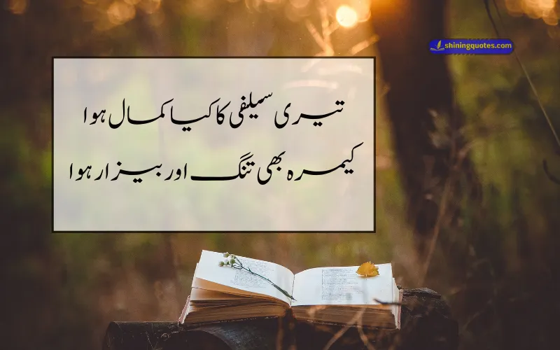 Short Funny Poetry in Urdu