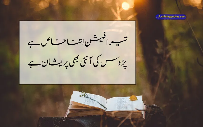 Funny Poetry in Urdu 2 Lines Text