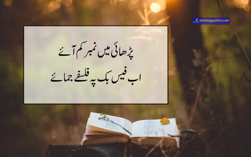 Funny Poetry in Urdu