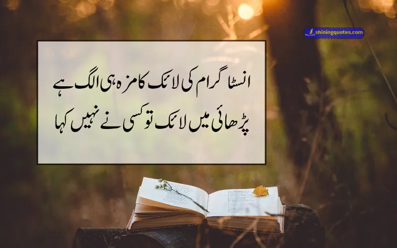 2 Lines Funny Urdu Poetry