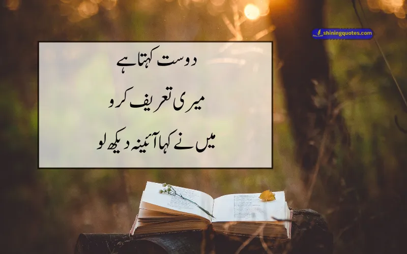 Funny Urdu Poetry