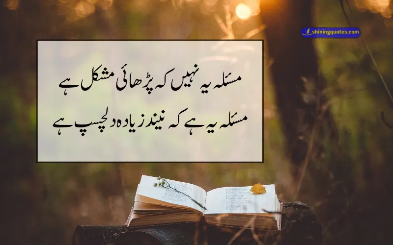 Funny Urdu Poetry