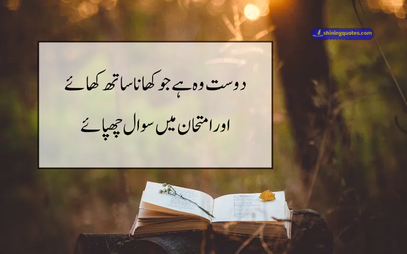 Funny Poetry in Urdu