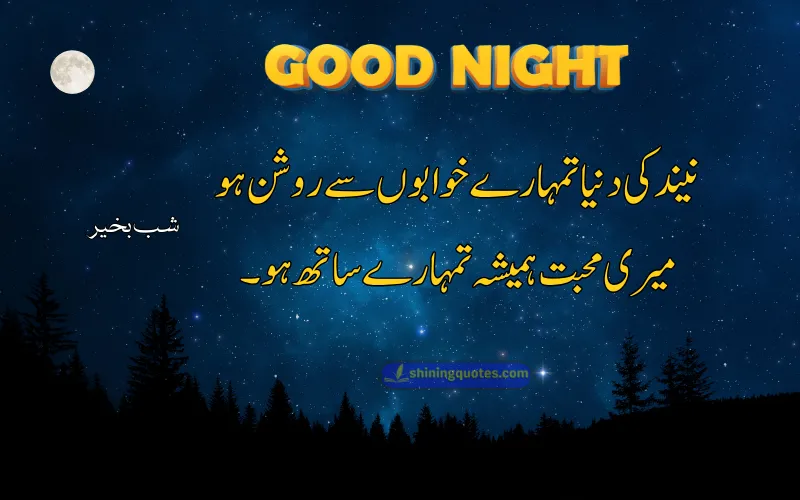 Good Night Poetry