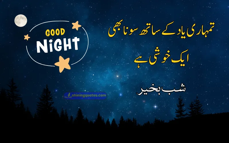 Love Good Night Quotes