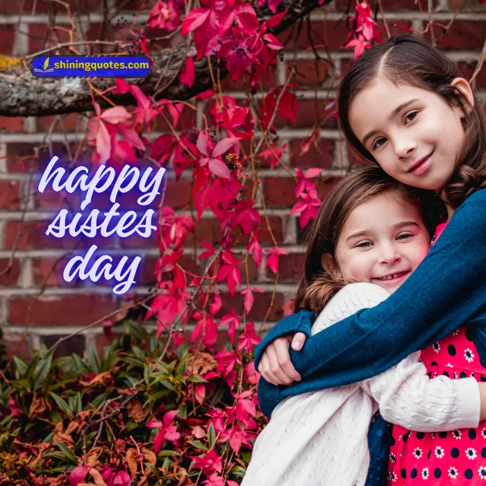 Happy Sisters Day Images