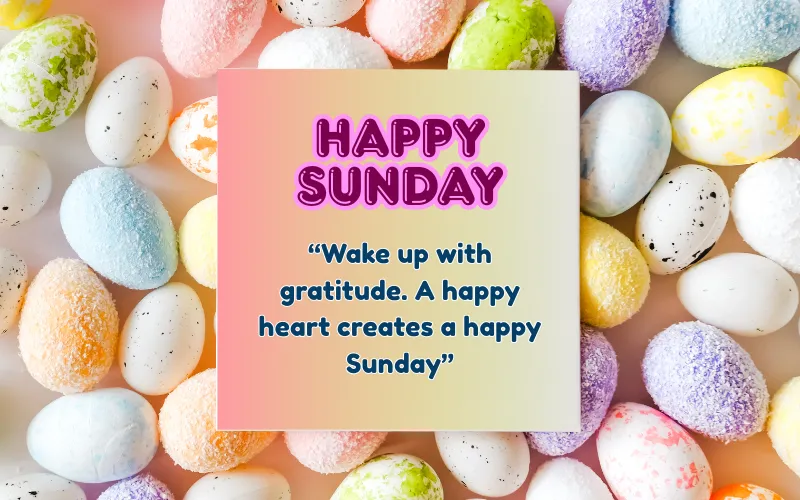 Happy Sunday
