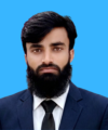 Muhammad Hasnain Mehdi Avatar