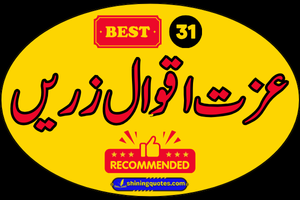 33 Inspiring Izzat Quotes in Urdu & English | Izzat Poetry - Post Thumbnail