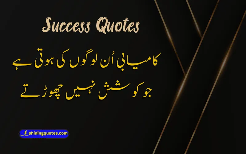 Life Success Urdu Quotes