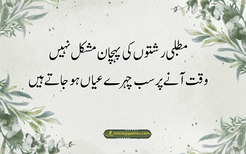 Matlabi Log DP Status in Urdu