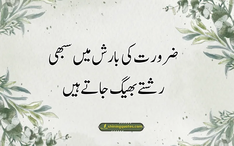 Matlabi Log DP Status in Urdu