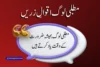 Matlabi Log Quotes in Urdu | New Shayari & Poetry Collection 2025 - Post Thumbnail