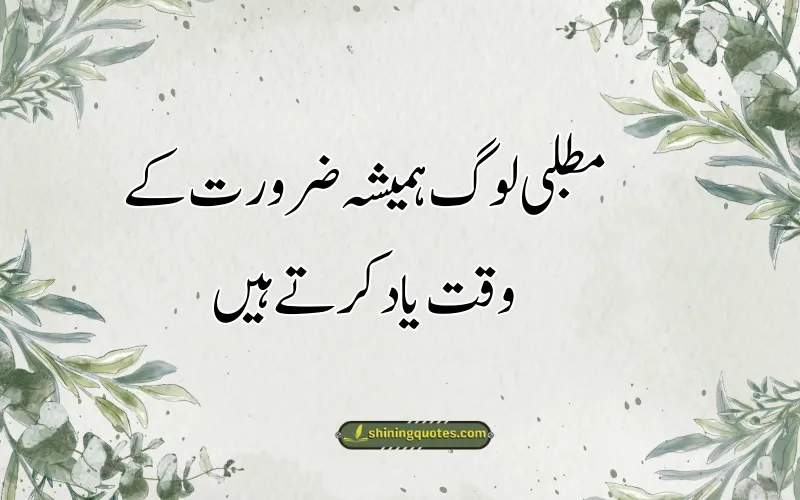 Matlabi Quotes in Urdu