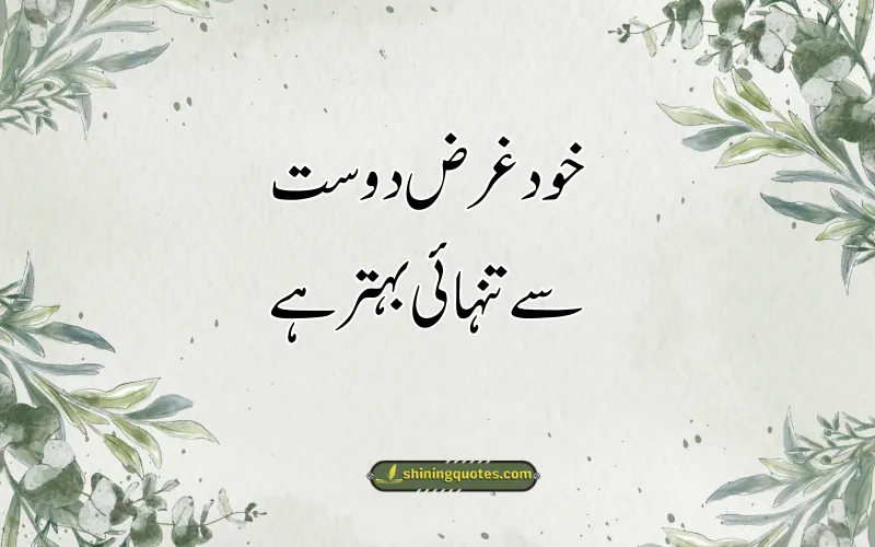 Matlabi Log Poetry in Urdu 2Lines