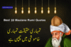 Best 20 Maulana Rumi Quotes in Urdu & English Meanings - Post Thumbnail