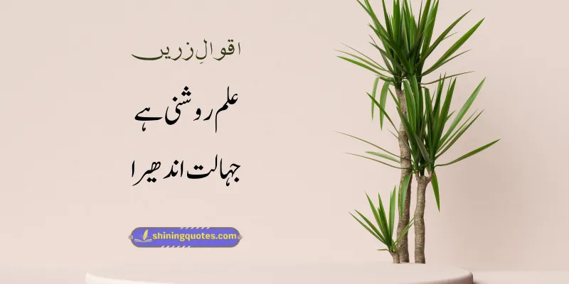 Aqwal e Zareen in Urdu