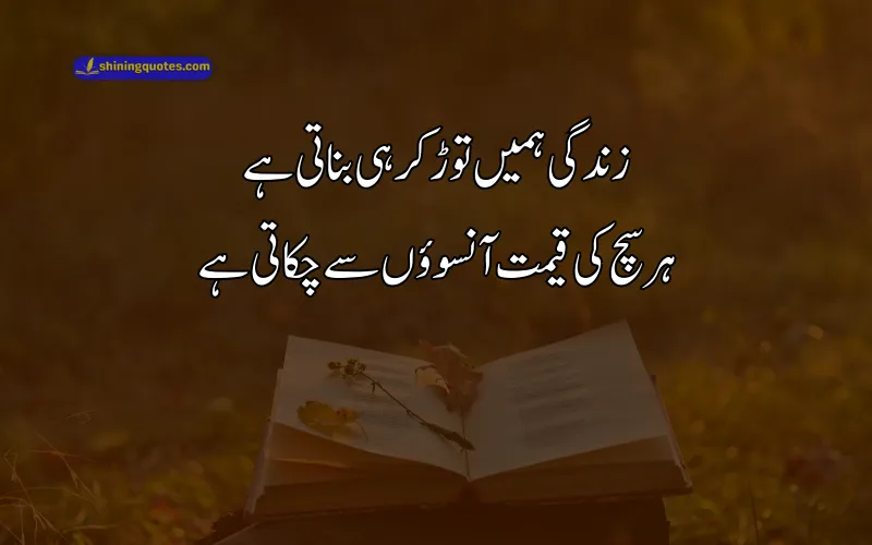 Short Poetry About Life in Urdu