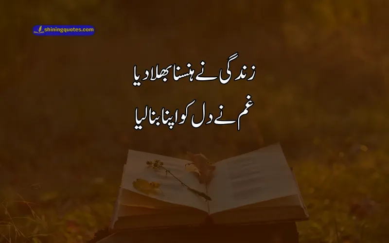 Urdu Poetry About Life