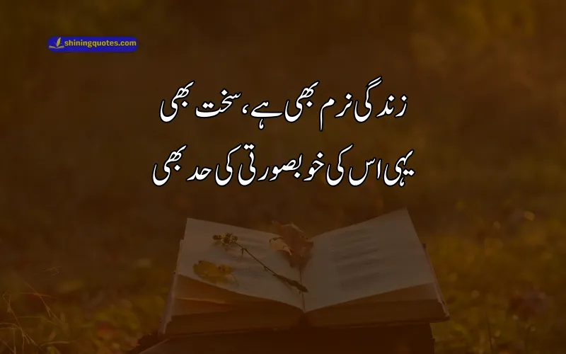 Urdu Poetry About Life