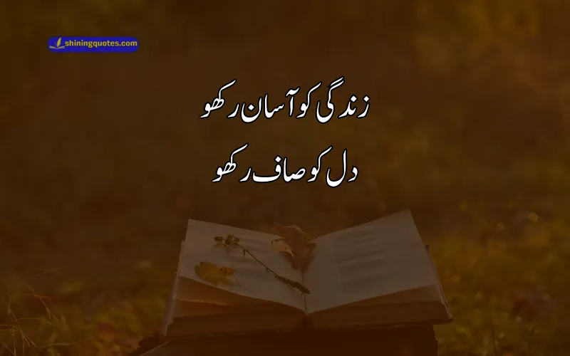 Sad Poetry About Life in Urdu
