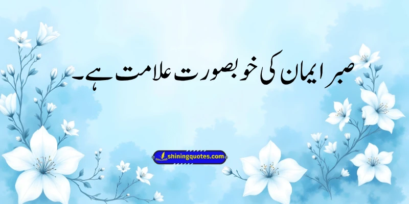 Sabr Quotes