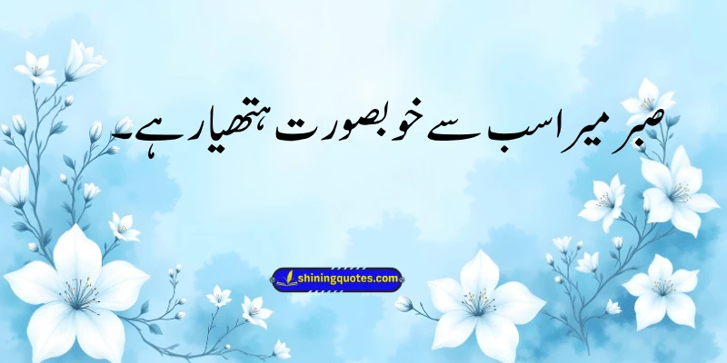 Sabr Quotes