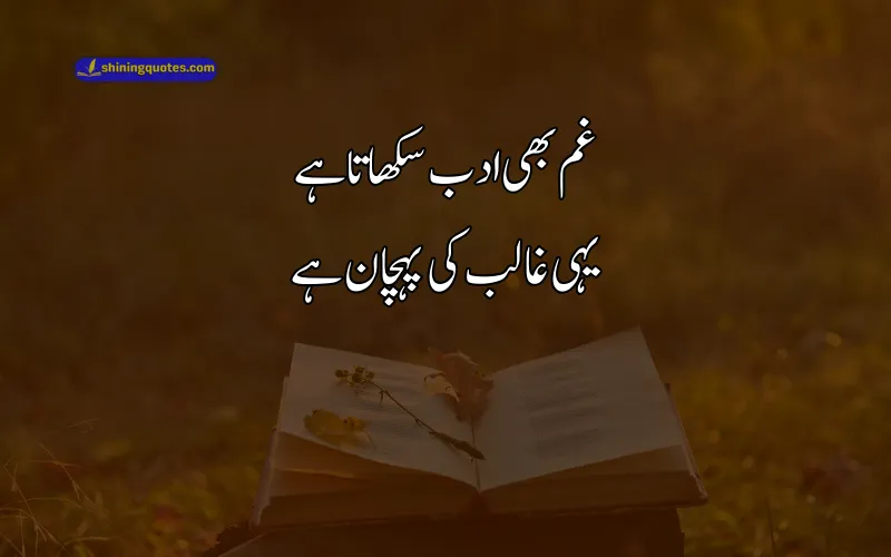 Sad Poetry About Life in Urdu