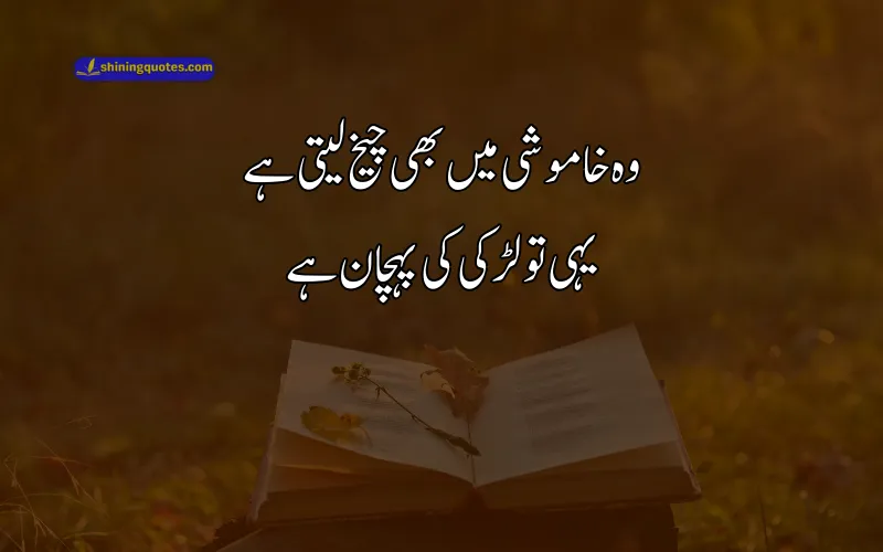 Heart Touching Poetry in Urdu