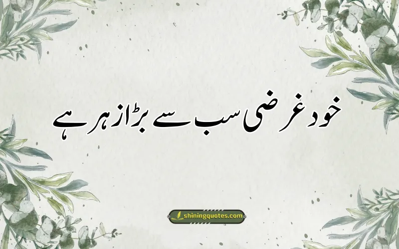 Matlabi Log Quotes in Urdu