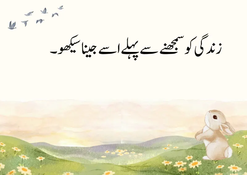 Aesthetic Quotes in Urdu