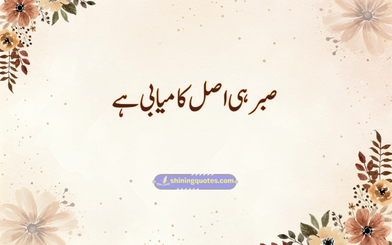 Short Urdu Captions for Instagram