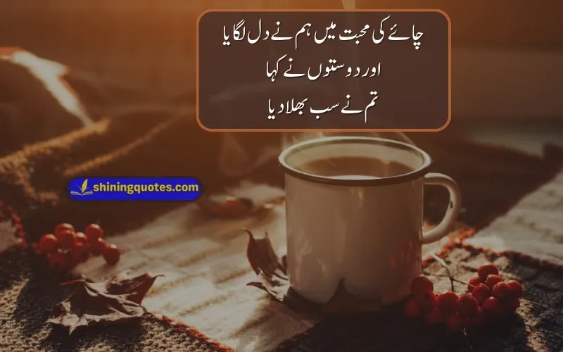 Chai Quotes in Urdu