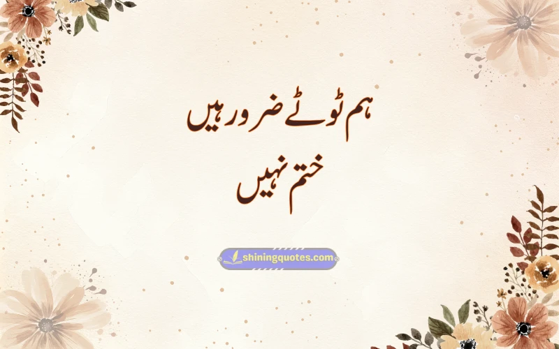 Short Urdu Captions for Instagram