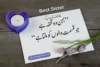Sister Quotes in Urdu | Short, Love, Sad & Funny Lines - Post Thumbnail