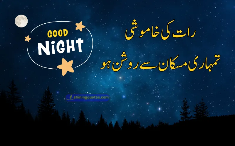 Good Night Quotes in Urdu