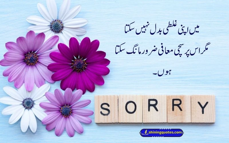 Emotional Sorry Quotes